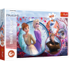 Puzzles - "160" - Sister adventure / Disney Frozen 2 [15374]