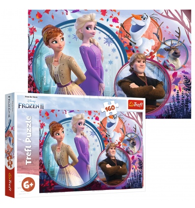 Puzzles - "160" - Sister adventure / Disney Frozen 2 [15374]