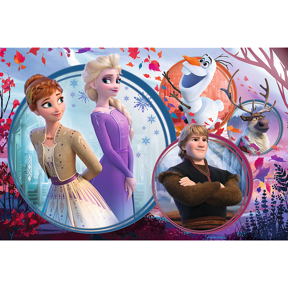 impossible frozen 2 puzzle