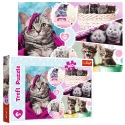 Puzzles - 160 - Lovely kittens [15371]