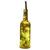 Glass Bottle With Plant [428357]