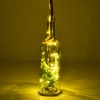 Glass Bottle With Plant [428357]