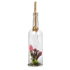 Glass Bottle With Plant [428357]