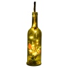 Glass Bottle With Plant [428357]