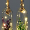 Glass Bottle With Plant [428357]