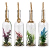 Glass Bottle With Plant [428357]