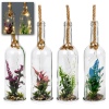 Glass Bottle With Plant [428357]