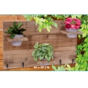 Wooden Wall Decorations with Pot Plants