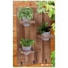 Wooden Wall Decorations with Pot Plants