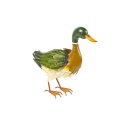 Orange Metal Duck With Green Wings [390203]