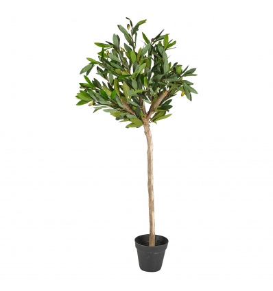 Olive Tree in Pot 94cm [882476]