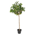 Olive Tree in Pot 94cm [882476]