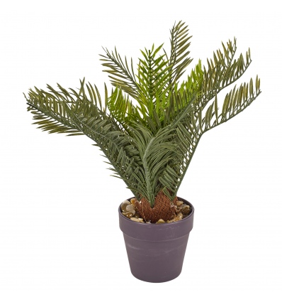 Palmtree in Brown Pot 30cm [704390]