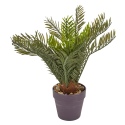 Palmtree in Brown Pot 30cm [704390]