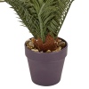 Palmtree in Brown Pot 30cm [704390]