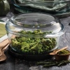 Single Borcam Glass Round Large Casserole Dish With Lid [59013]