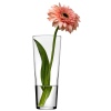 Single Botanica Vases