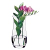 Single Botanica Vases