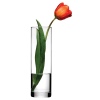 Single Botanica Vases