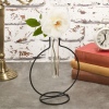 Glass Tubes Vases with Metal Frames