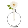 Glass Tubes Vases with Metal Frames