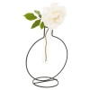 Glass Tubes Vases with Metal Frames