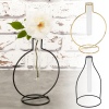 Glass Tubes Vases with Metal Frames