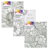 Colour In Blank Canvas [329699]