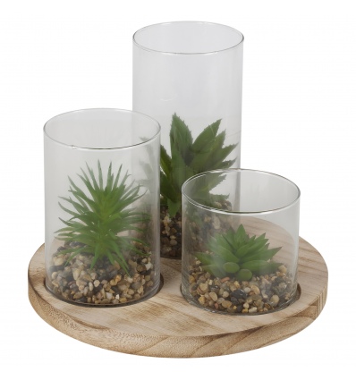 Plant And Jar Display Stand [584374]