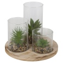 Plant And Jar Display Stand [584374]