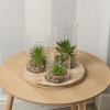 Plant And Jar Display Stand [584374]