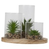 Plant And Jar Display Stand [584374]