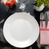 Single Zelie Opal Dinnerware Collection