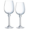 Single Amarante Crystal Wine Glass