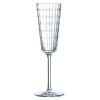 Single Iroko Crystal 170ml Champagne Flute [647198]
