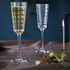 Single Iroko Crystal 170ml Champagne Flute [647198]