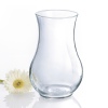 Oxygen Glass Vase [447200]