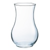 Oxygen Glass Vase [447200]