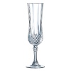 Single Longchamp 140ml Crystal Champagne Flute [564273]