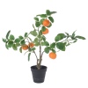 Artificial Fruit Tree [473890]