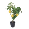 Artificial Fruit Tree [473890]