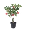 Artificial Fruit Tree [473890]