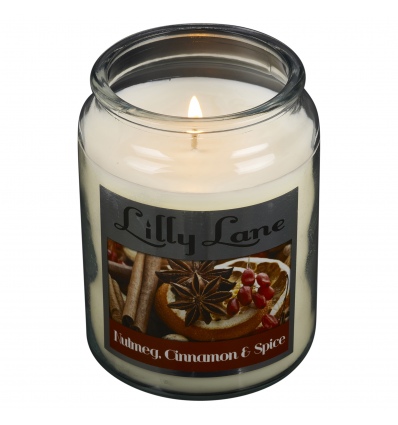 Lilly Lane 18oz Candles in Jar 2020 Flavours