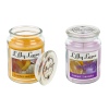 Lilly Lane Candles 2 Pack