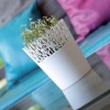 CITY Plastic Flowerpot