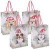 18x23cm Christmas Gift Bags with Rope Handles