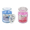 Lilly Lane Candles 2 Pack