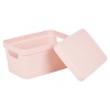 3.6L X-Small Pastel Coloured Lidded Storage Boxes