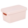 3.6L X-Small Pastel Coloured Lidded Storage Boxes