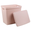 26L Large Pastel Coloured Lidded Storage Boxes [525636]